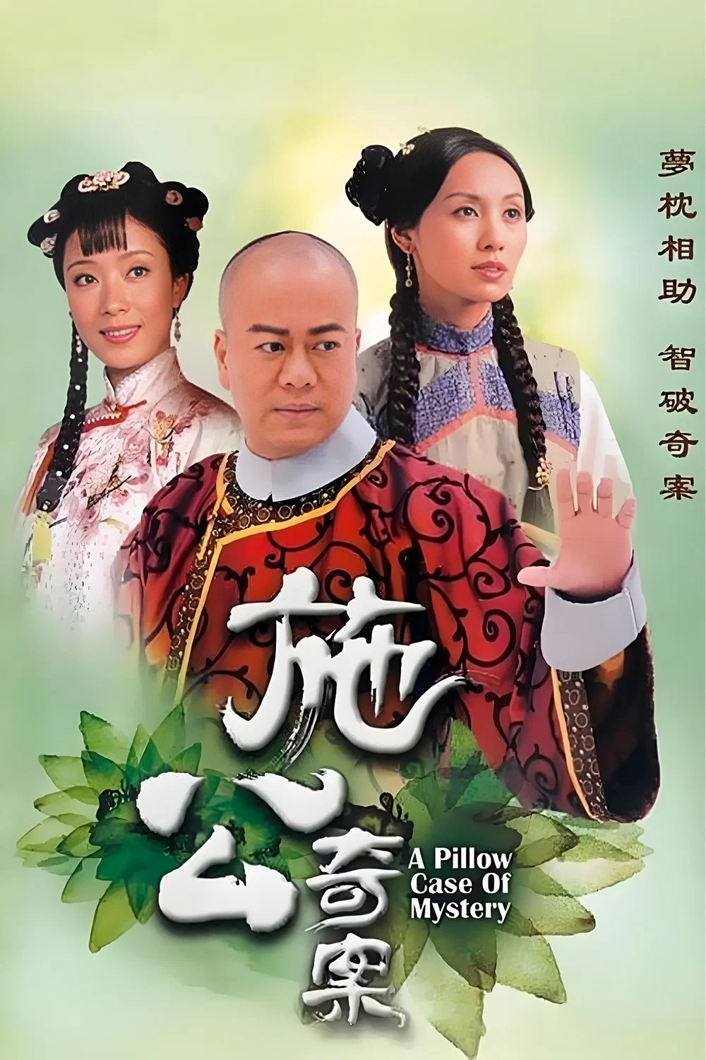 施公奇案封面图