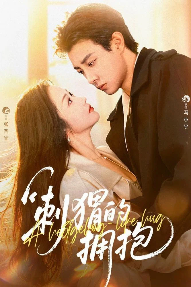 刺猬的拥抱封面图