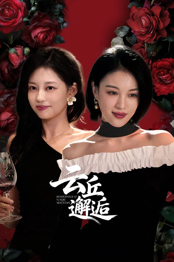 《云丘邂逅》海报