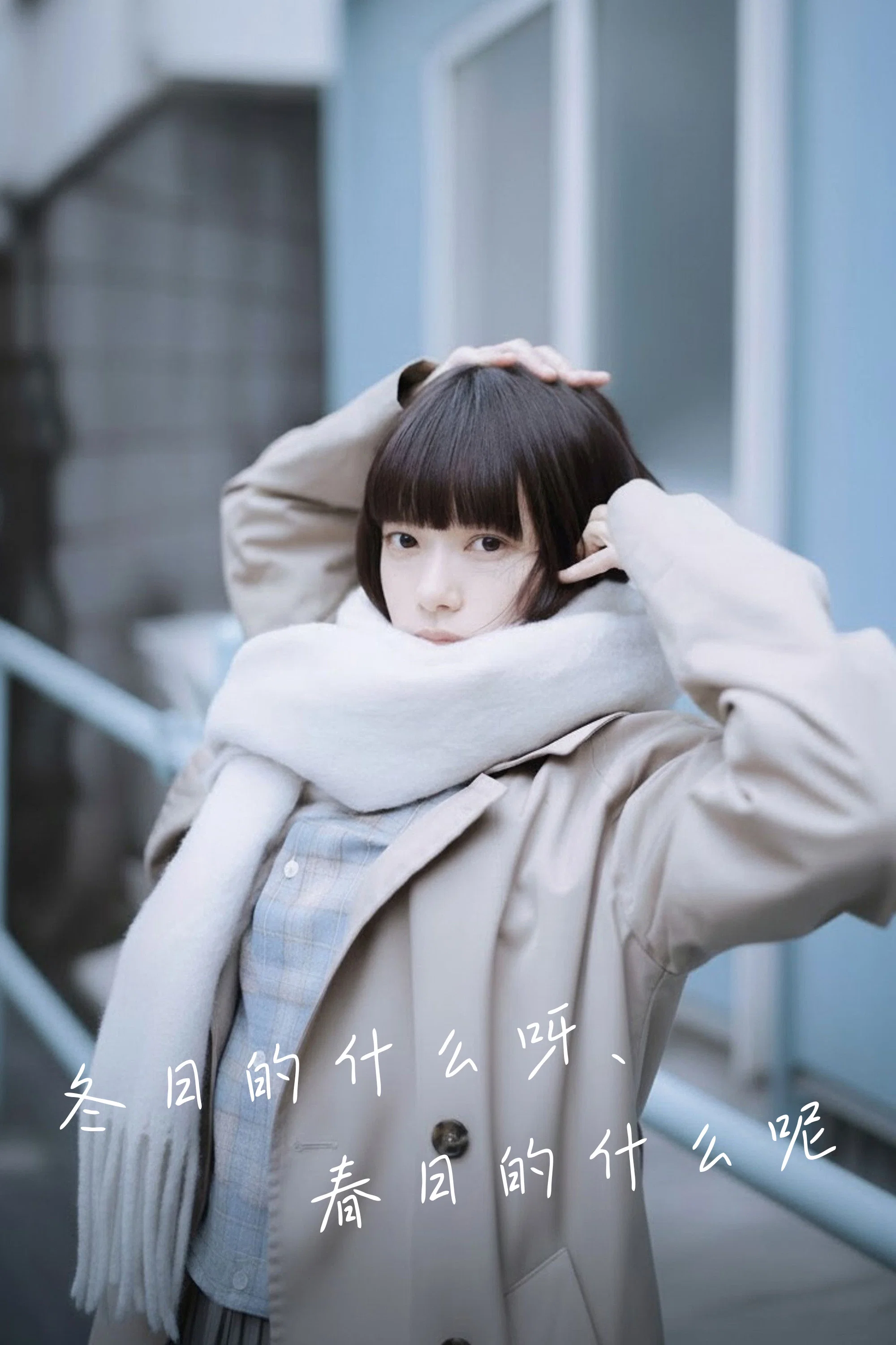 冬日的什么呀，春日的什么呢封面图