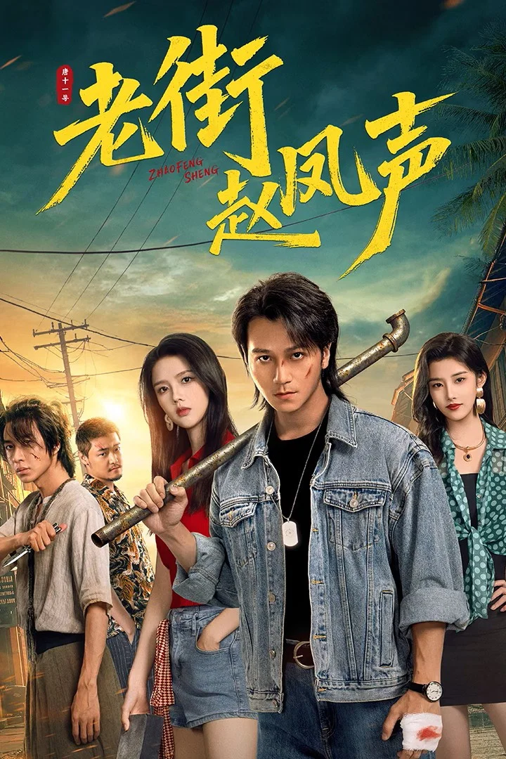 《老街赵凤声》海报