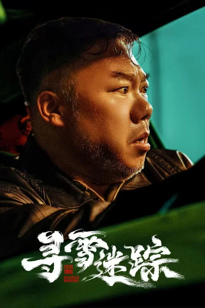《寻雪迷踪》海报