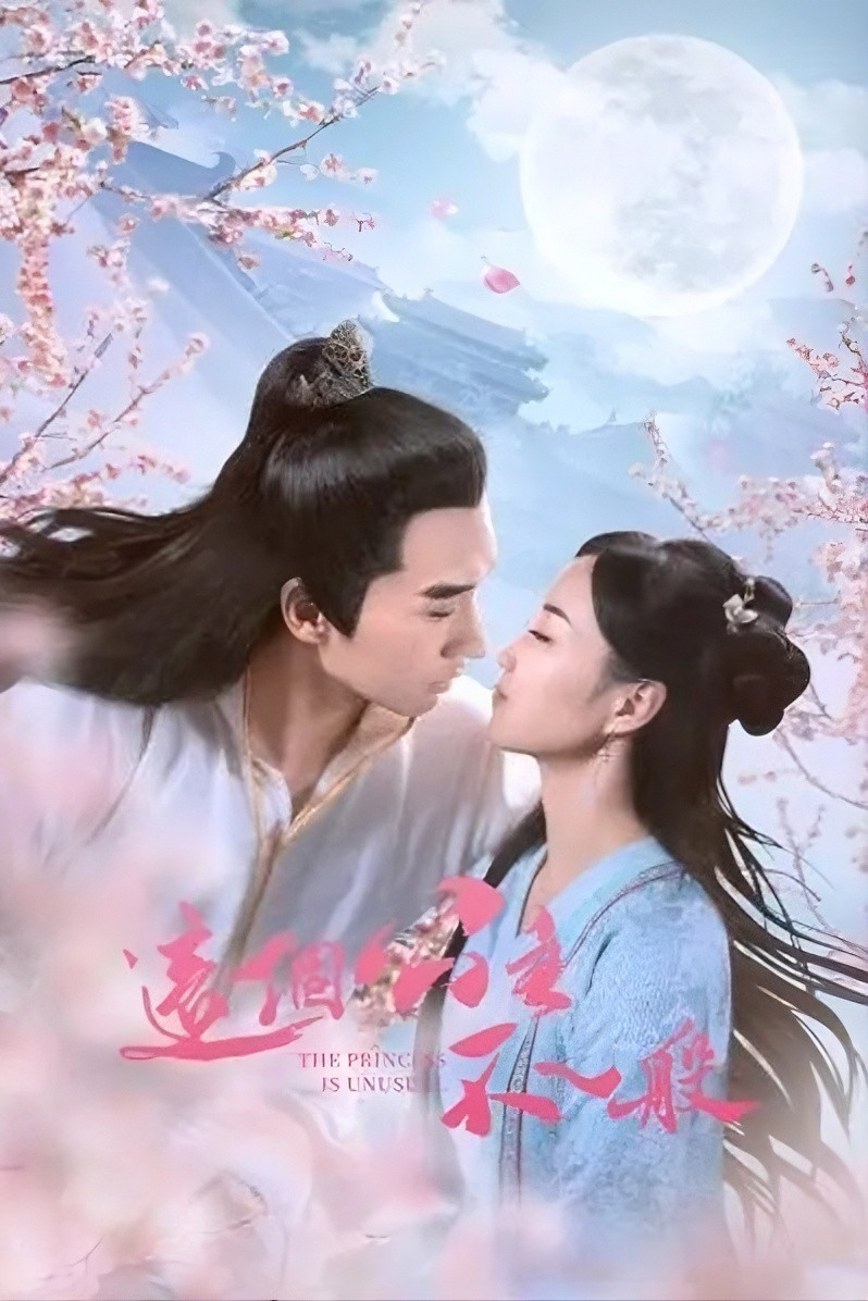 这个公主不一般