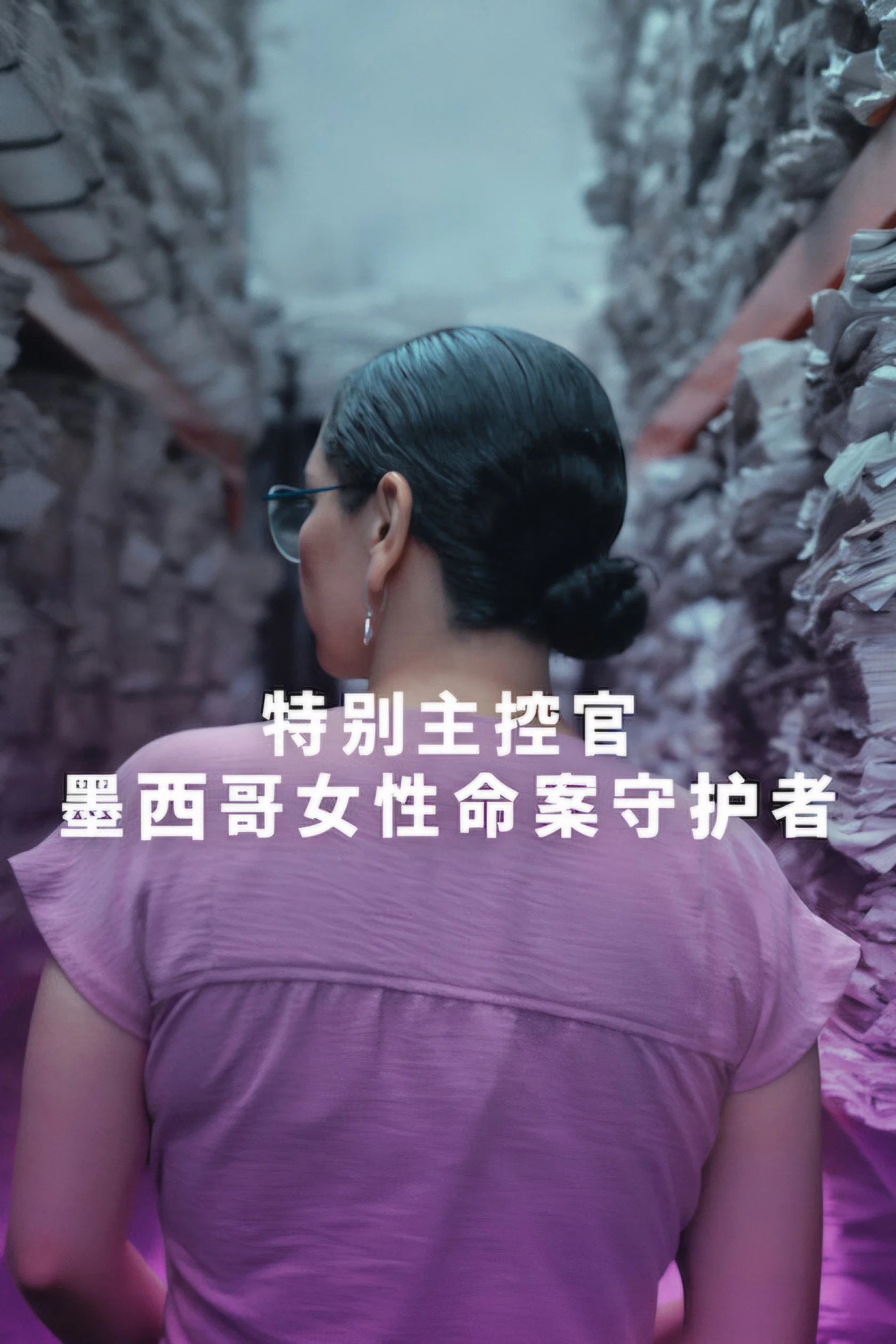 《特别主控官：墨西哥女性命案守护者》海报