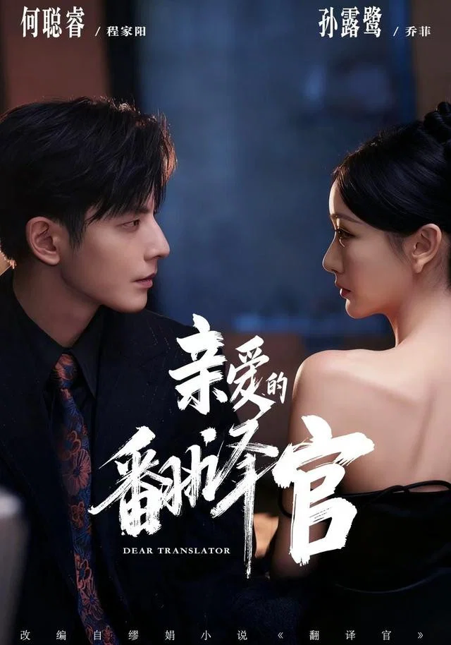 亲爱的翻译官 真人剧海报