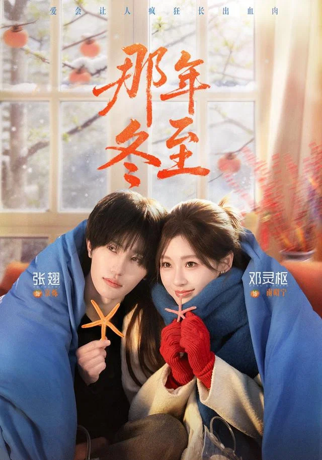 《那年冬至》海报