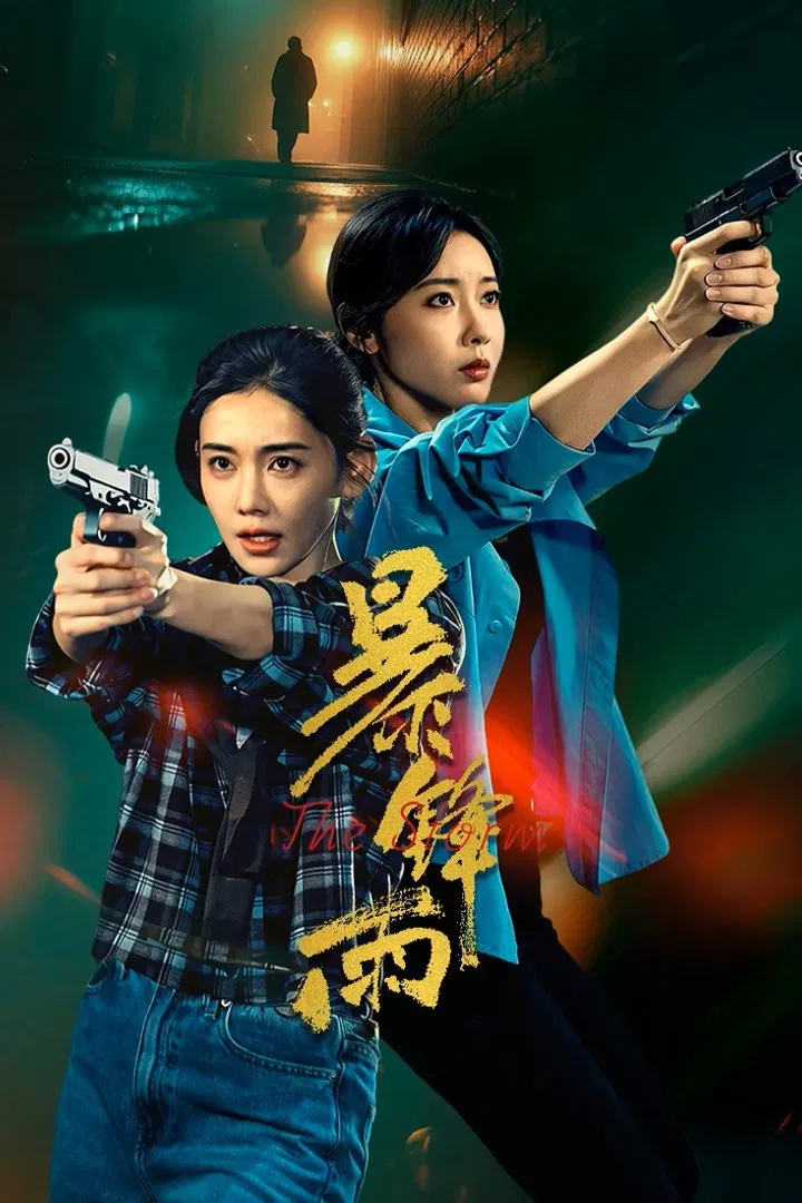 《暴锋雨》海报
