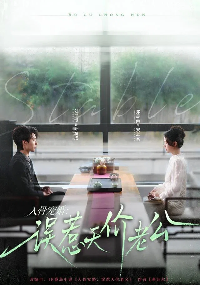 入骨宠婚：误惹天价老公 真人剧海报