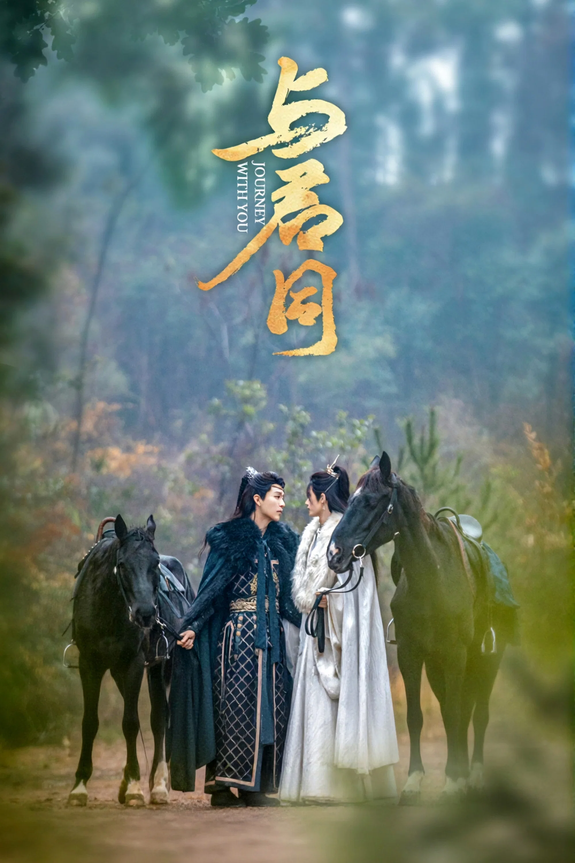 《与君同》海报