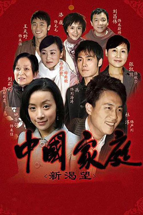 中国家庭之新渴望封面图