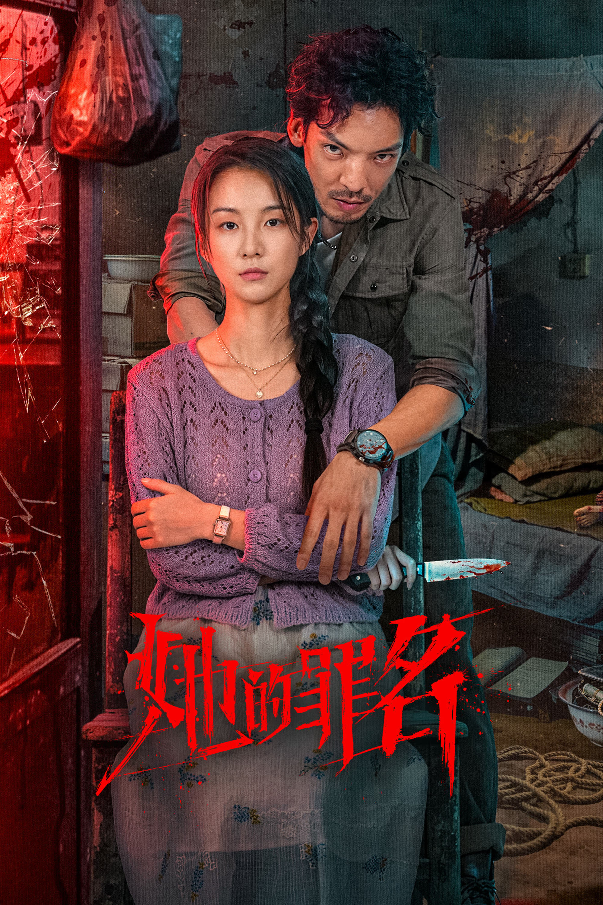 她的罪名封面图