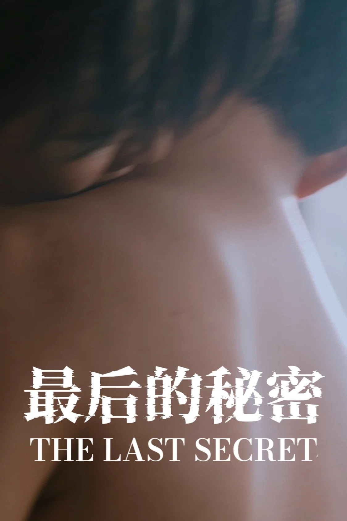 《最后的秘密》海报