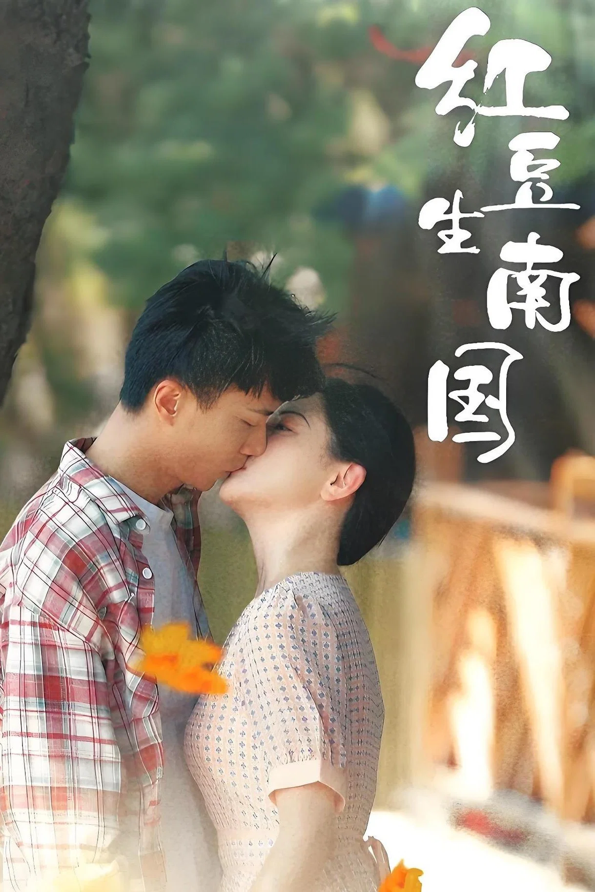 《红豆生南国》海报