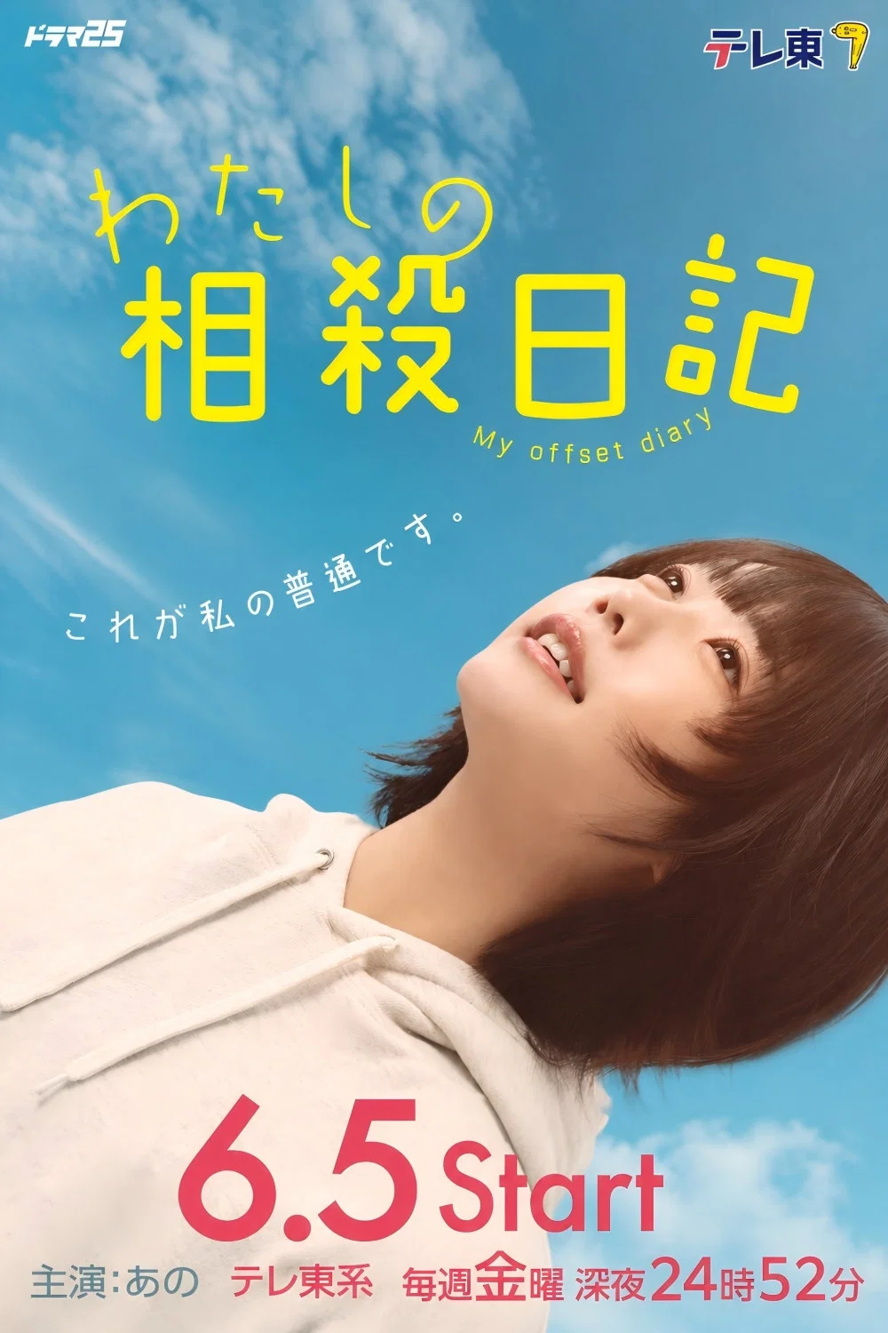 《我的相抵日记》海报