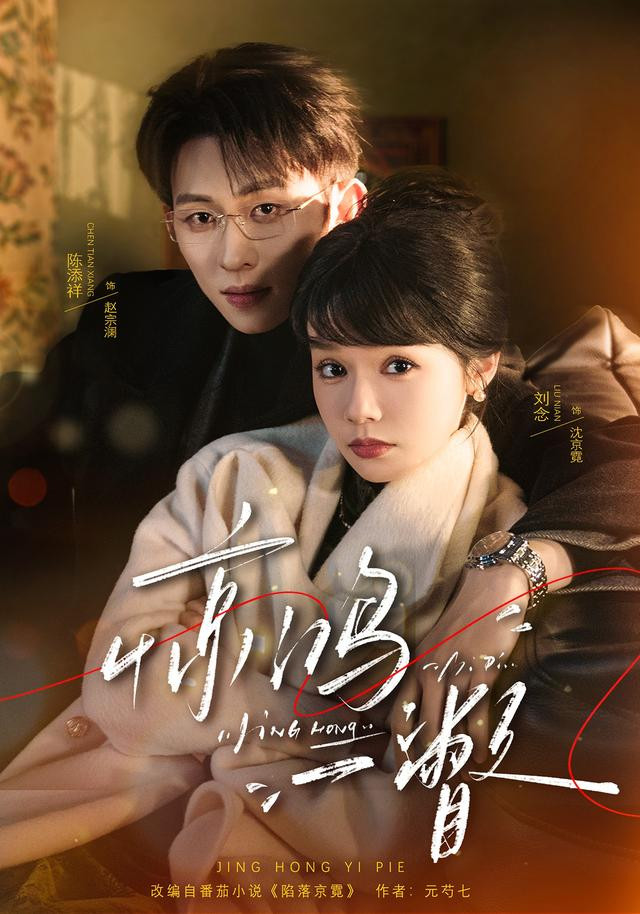 惊鸿一瞥 真人剧海报