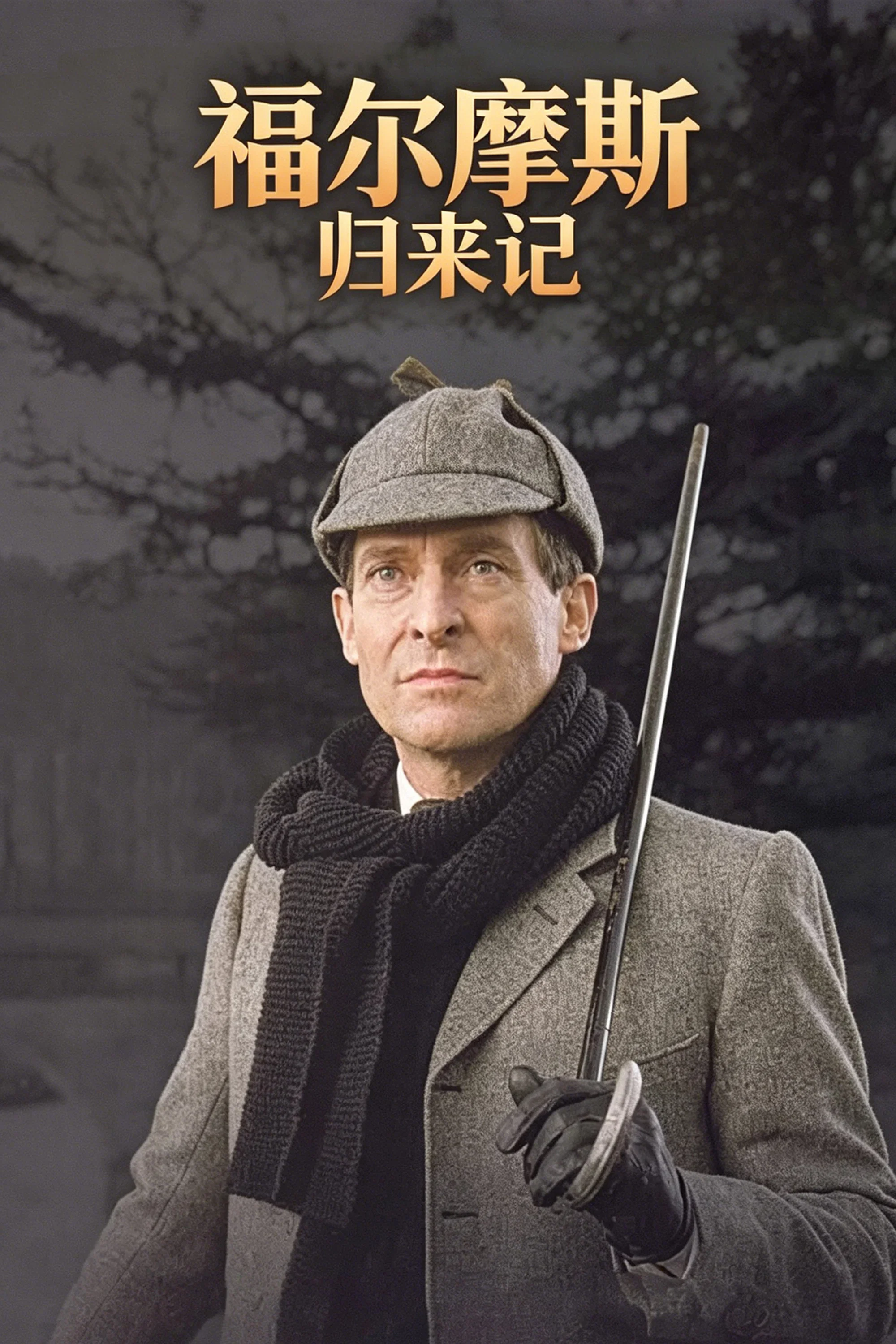《福尔摩斯归来记》海报