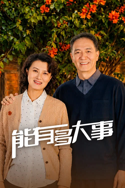 《能有多大事》海报