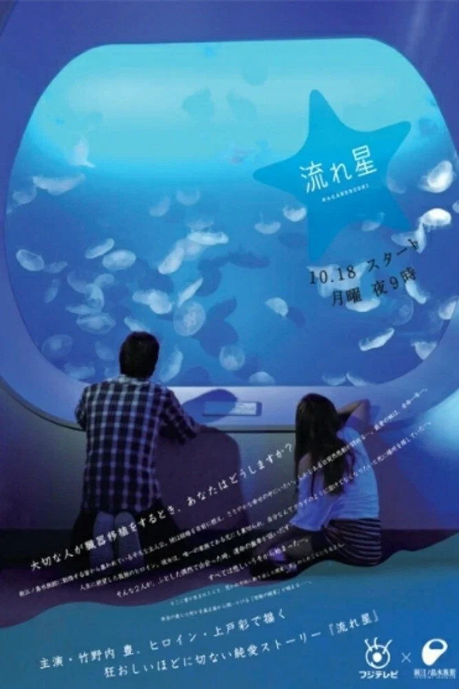 流星封面图