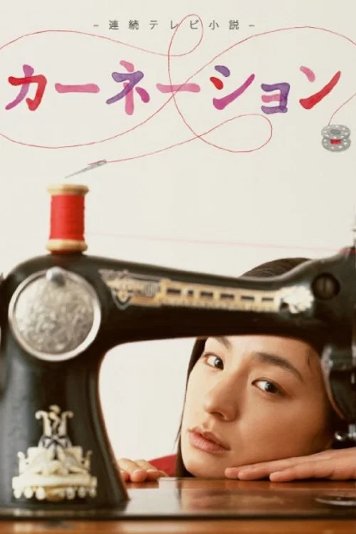 《康乃馨》海报