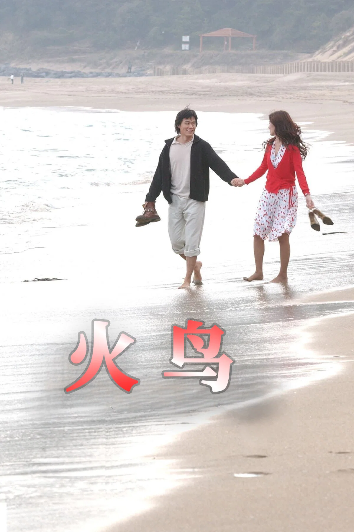 《火鸟》海报