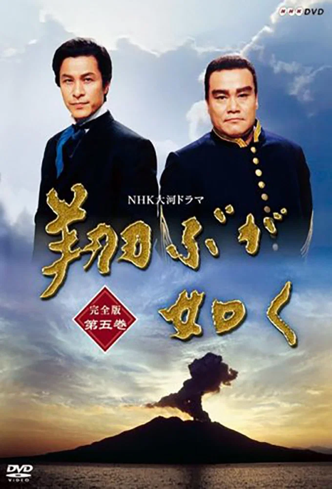 《宛如飞翔》海报
