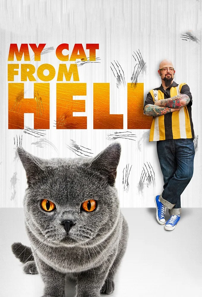 《家有恶猫》海报