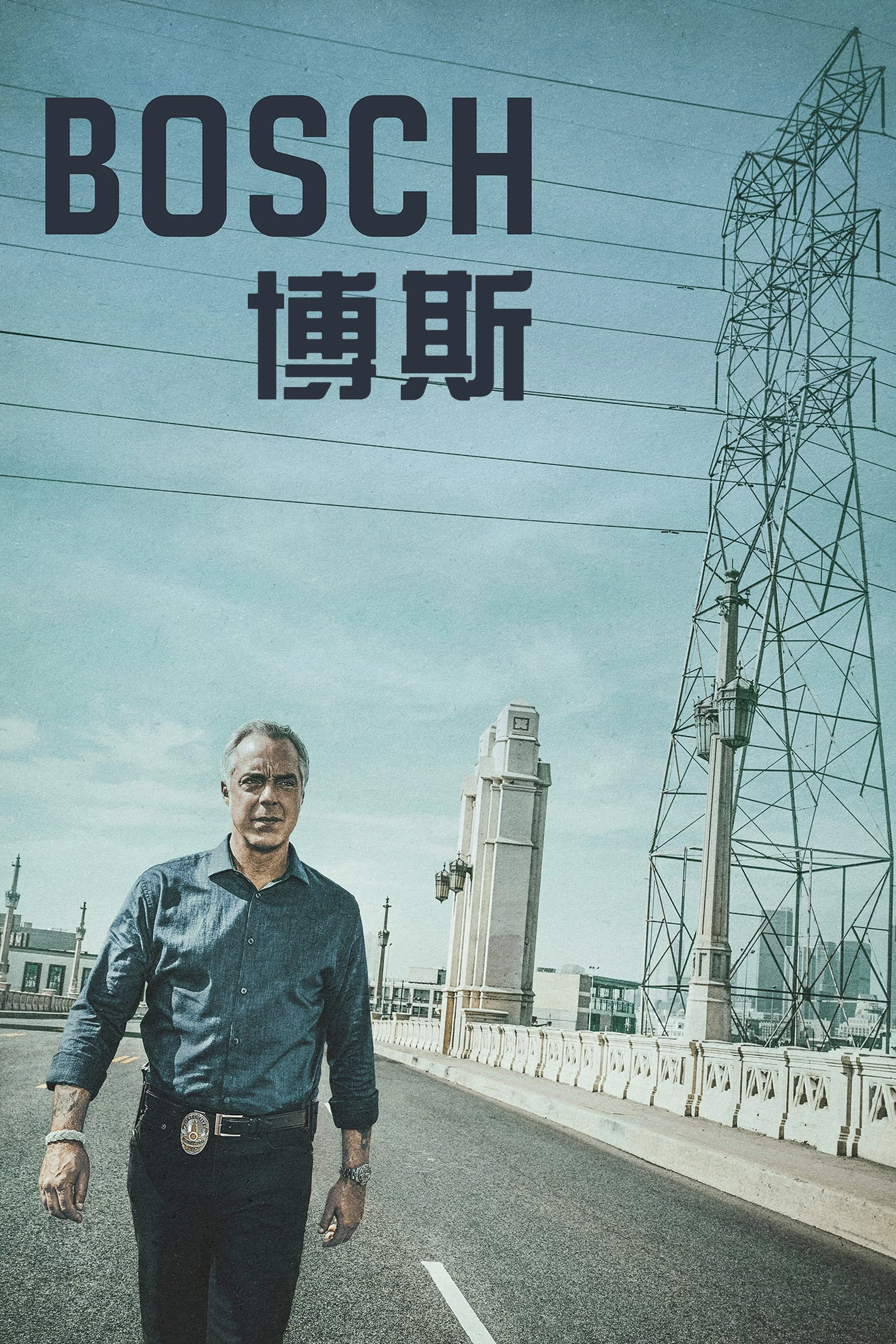《博斯》海报
