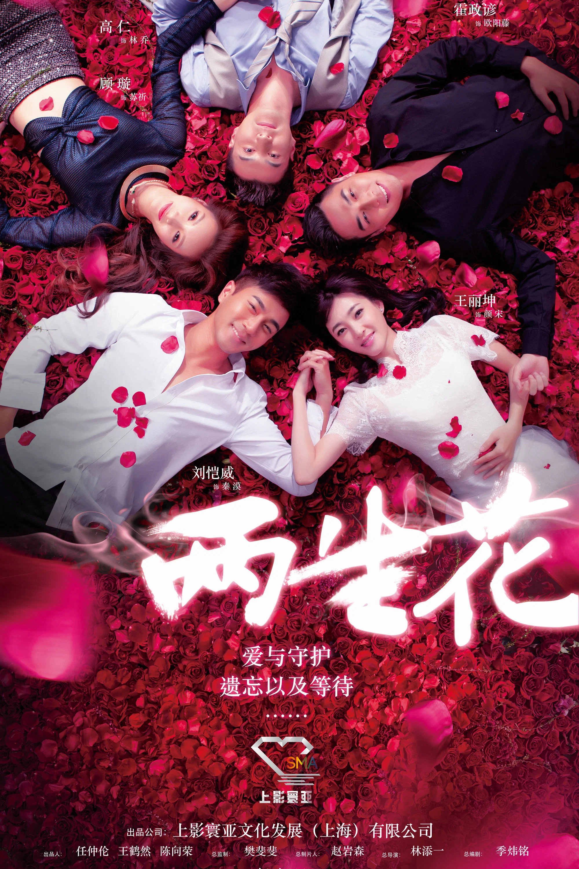 《两生花》海报