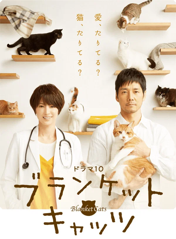 《毛毯猫》海报