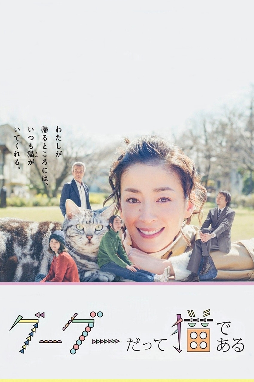 咕咕是一只猫封面图