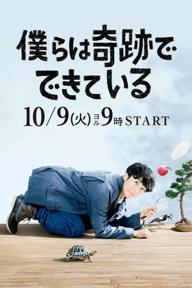 我们由奇迹构成封面图