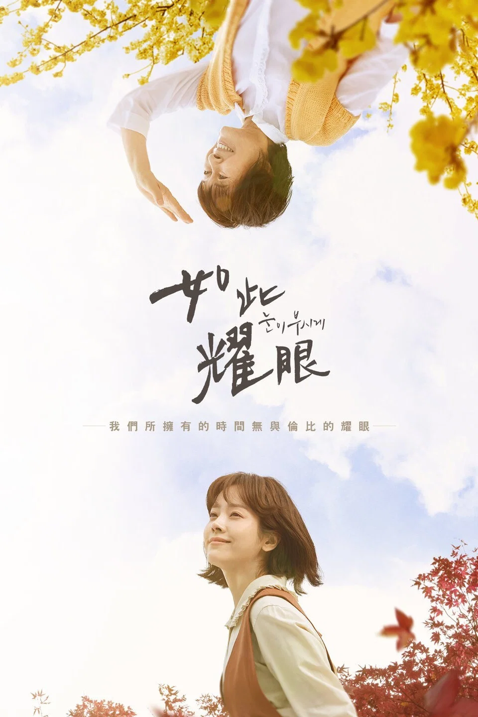 耀眼封面图