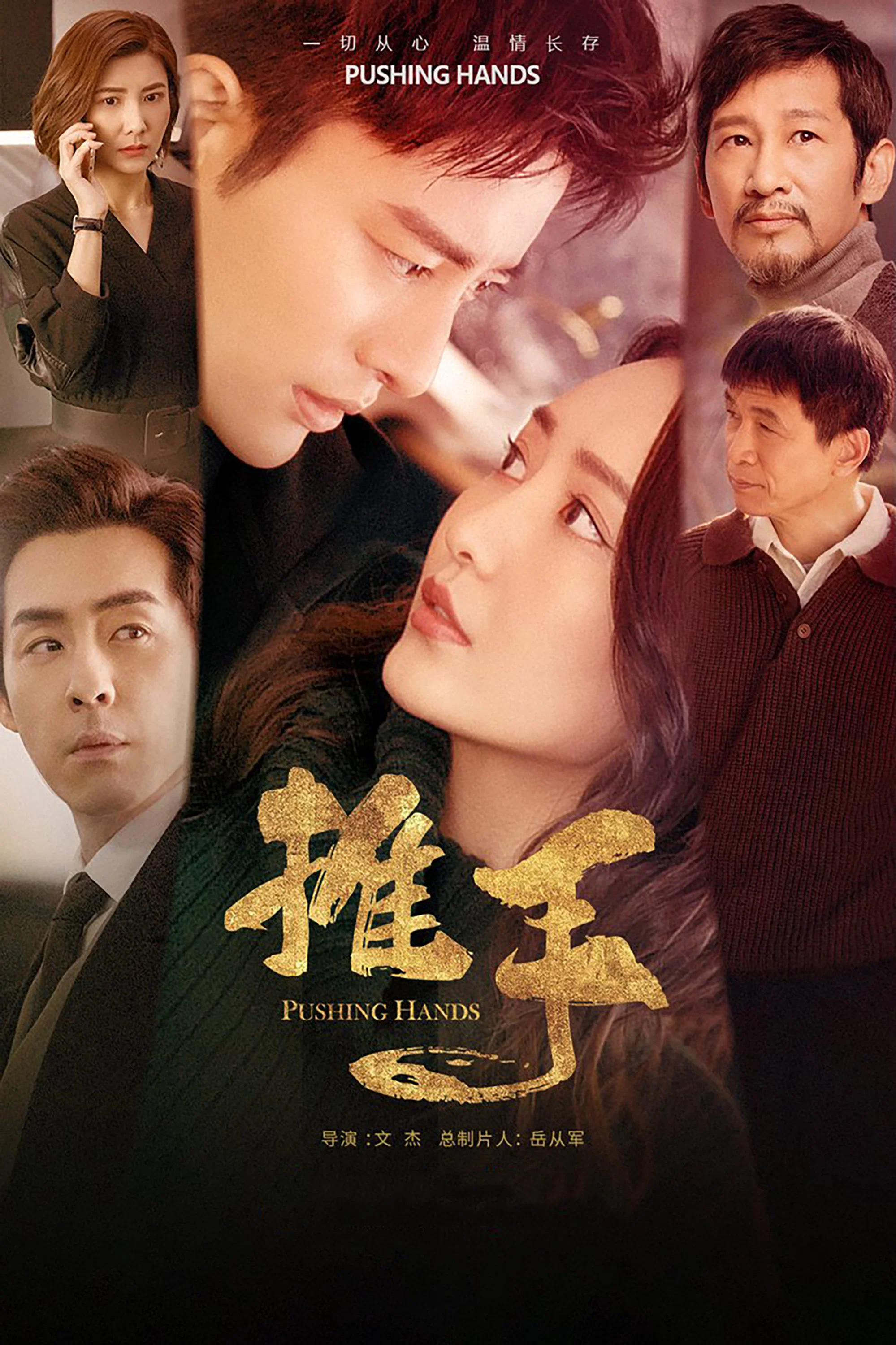 《推手》海报