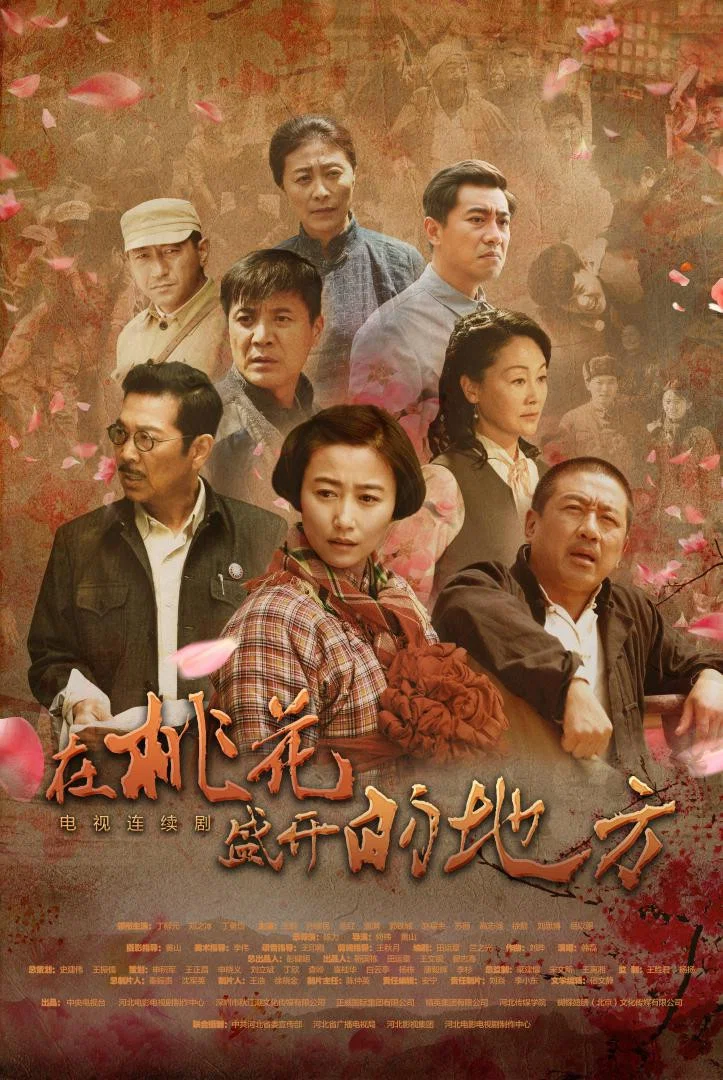 《在桃花盛开的地方》海报