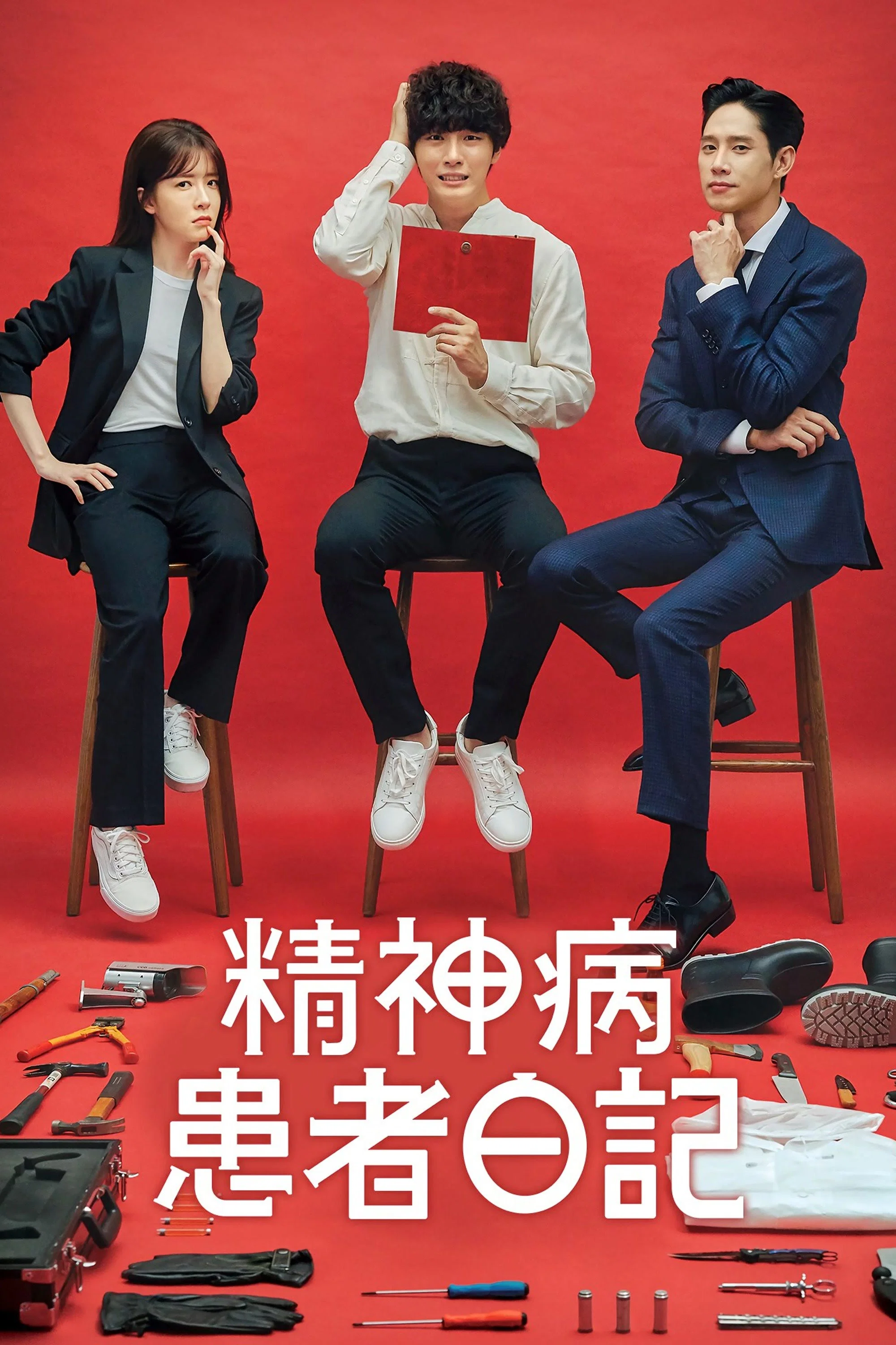 《精神病患者日记》海报