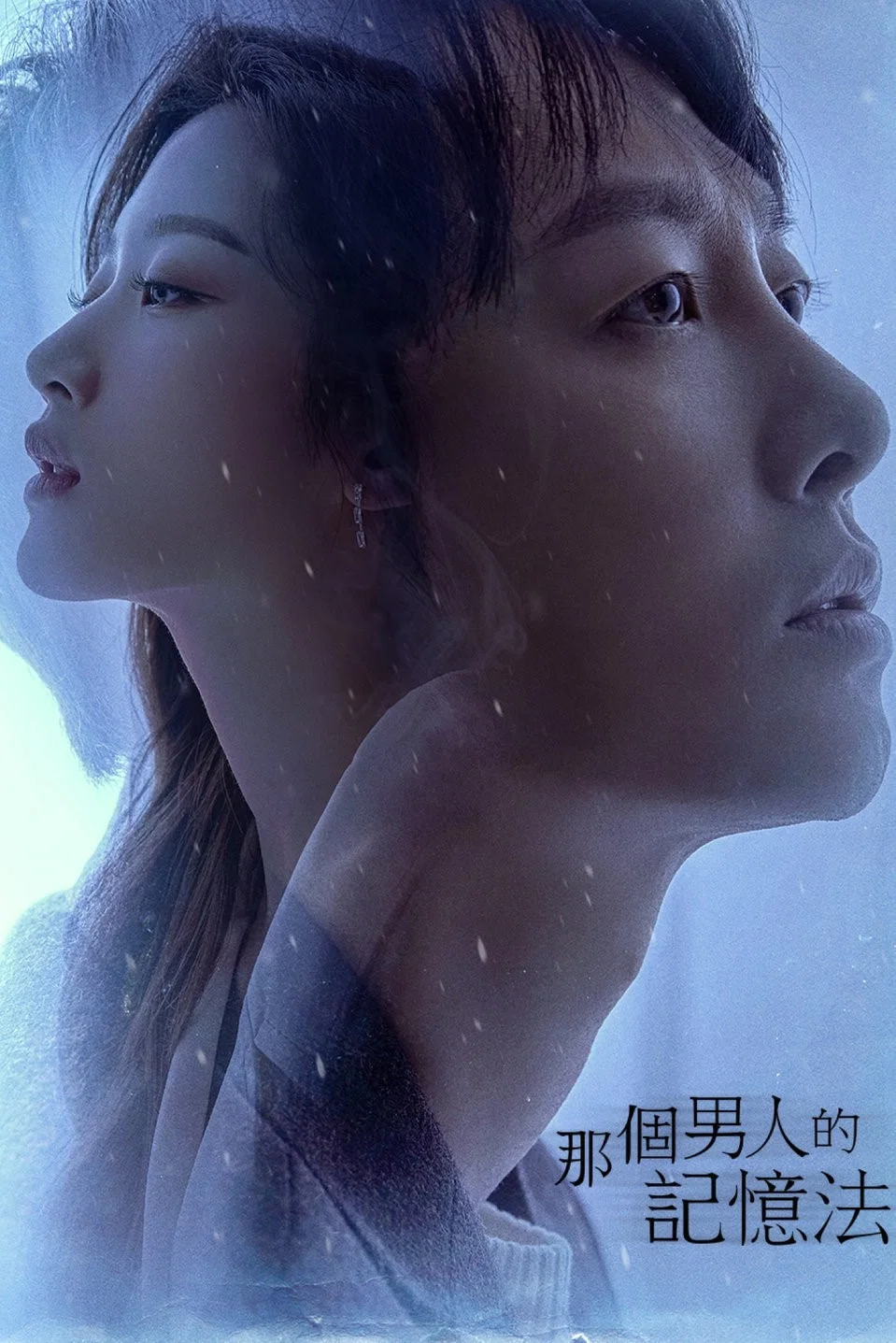 《那个男人的记忆法》海报
